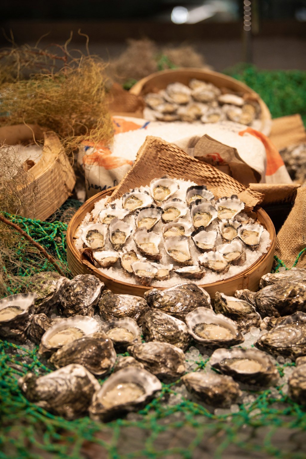 Oysters harvested from the estuary